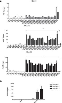 High Histone Deacetylase 2/3 Expression in Non-Functioning Pituitary Tumors